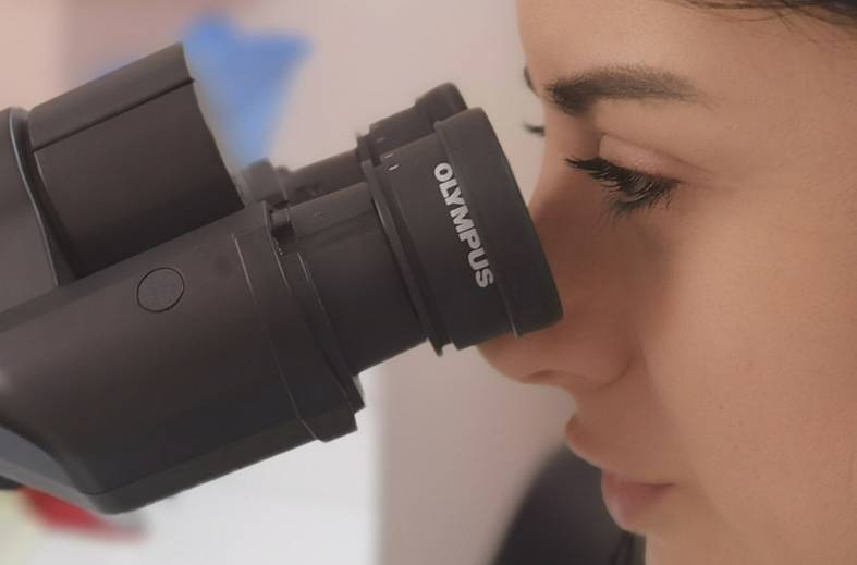 Микроскопическое исследование мазка отпечатка головки полового члена